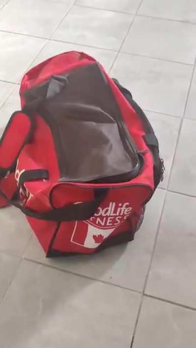 Looks like the coast is clear.. ABORT ABORT