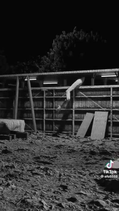 From the people that brought you Resident Evil and Pokémon Go….