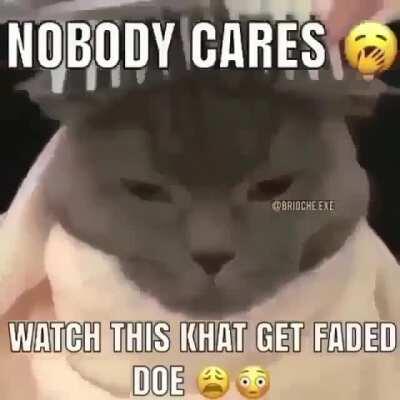 Cat gettin that haircut doe 😳👊