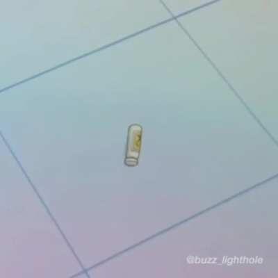 El último y se acabó