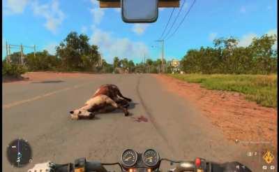 Pure skill on Havana