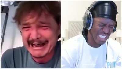 Now i am going to use this template !