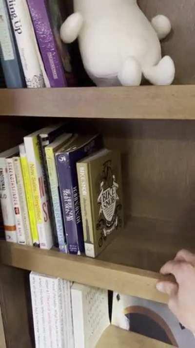 My secret game room again with the sound modification this sub suggested! The Zelda fan in me is smiling big time.