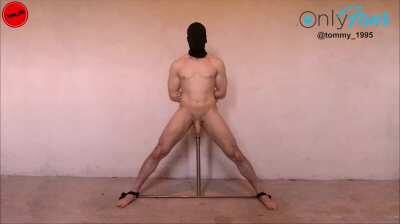 How do you like that?