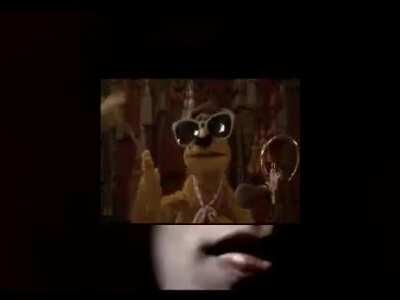 wow wow waka wow wow waka waka waka