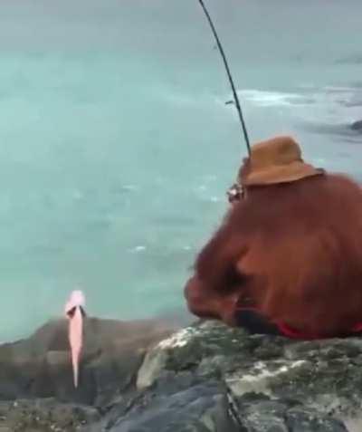 monke fishing