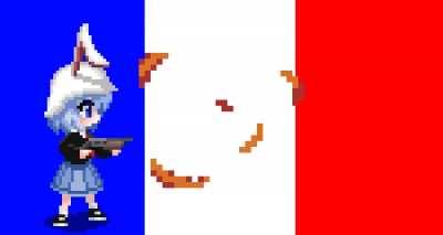 French simulator