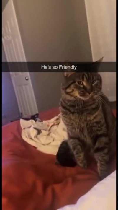 I dont like this game😾