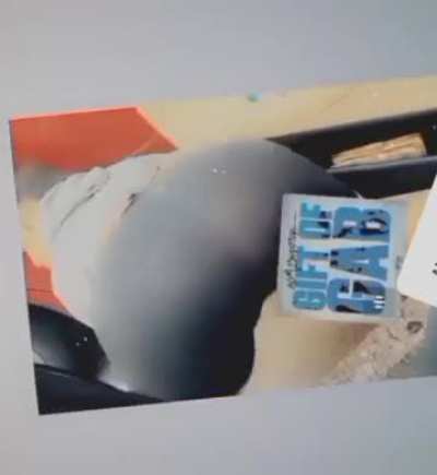 Same big booty thot on my highlights