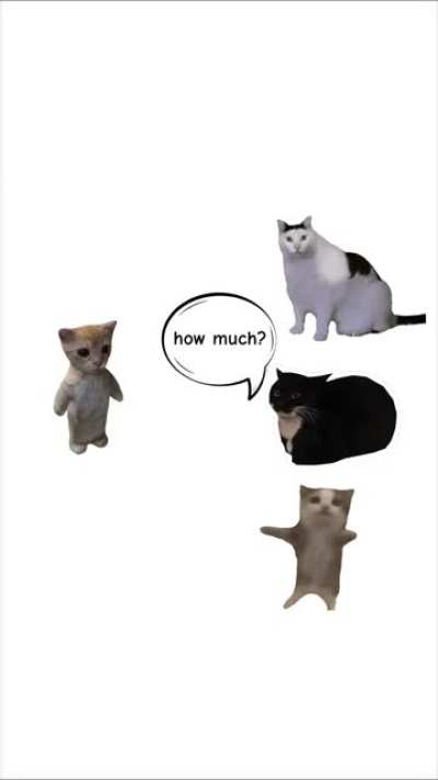 Wunky Money Laundering