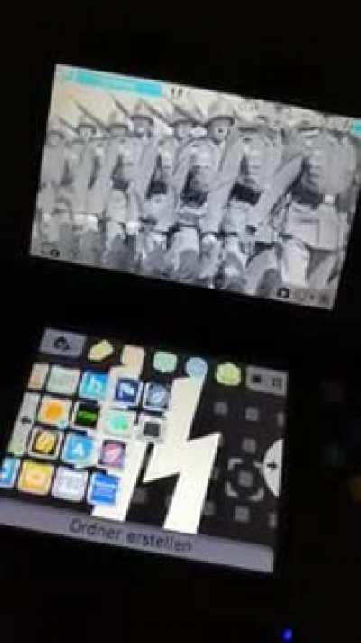 nintendo 3ds nazi theme