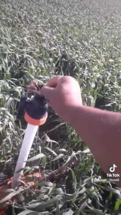 It was very cosy deep inside