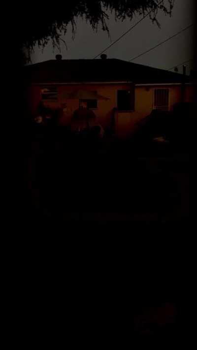 I'm not sure if this is the right place, but my wife caught something weird walking on a roof while shooting a video of our neighbor's ducks through a fence