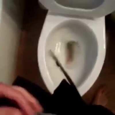 Welchen Scheiss die uns da impfen🤣🤣🤣🤣🤣🤟🏻🤟🏻 also impfen lass ich mich sicher nicht😡😡😡🤒 das einzige Astra was ich mir spritzen lass ist von der Reeperbahn🤠🍺🍺 Prost Männer!! LG Jürgen aus Steinbach (am Glan)🤣🤣🤣😛🍺🍺