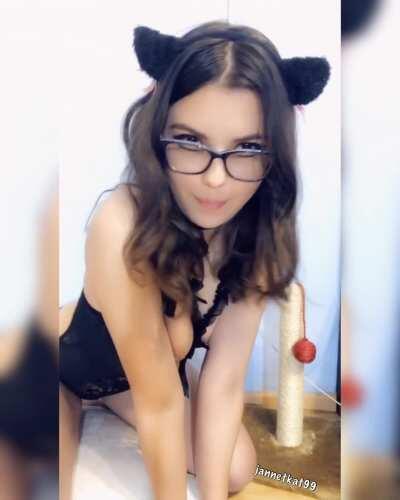 This kitty says hi! =^_^=