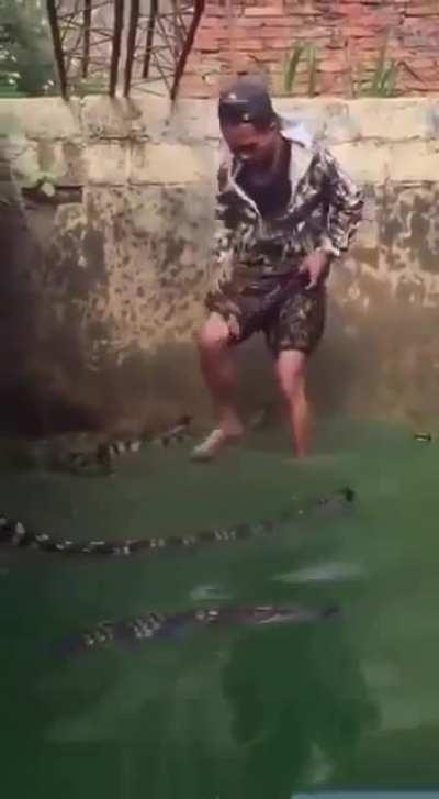 Crazy crocodile breeder from Thailand.