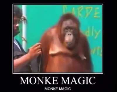 Minke magic