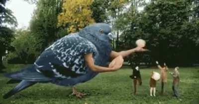 Let’s get this bread.