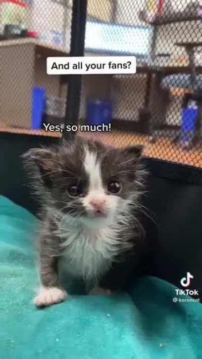 Pinto Bean may be small but he is mighty