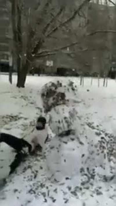 When the snowman fights back!