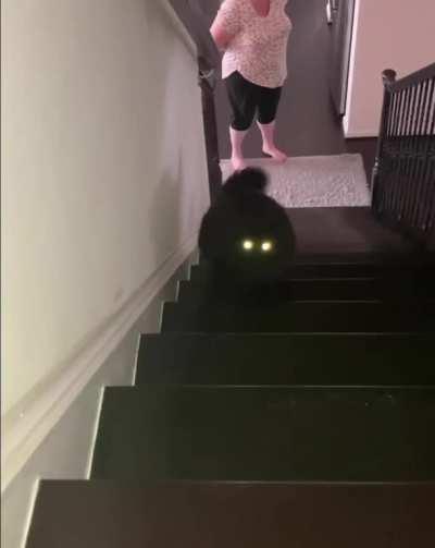 Mystic chonker