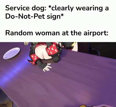 Do not the doggo