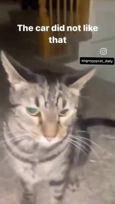 wunk has had enough of the mocking