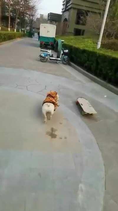 In case you don't know, this is my PE teacher😝