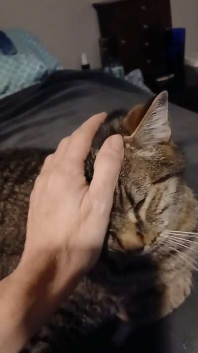 Armani loves his pets!❤️