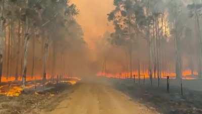 El 46% de la provincia de Corrientes se esta incendiando.