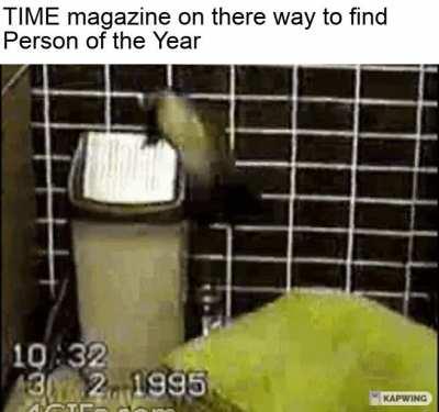 why are they like this...