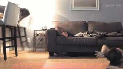 Timber … get out of the way