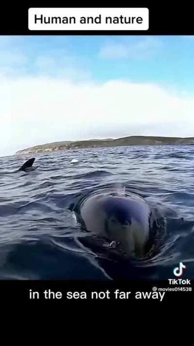 Watch all of it its worth it