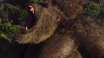 I missed the part where that’s my problem- Kong