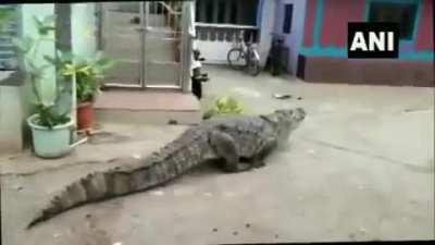 Mallu going to Karnataka