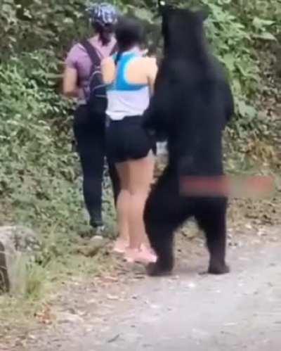 Insane bear encounter