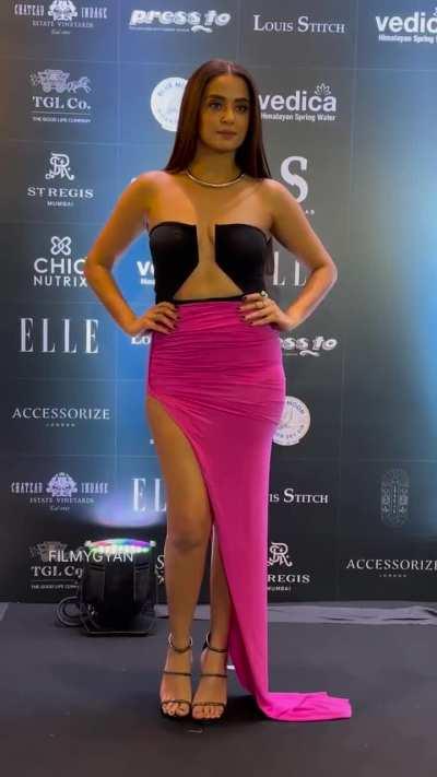 Surveen Chawla [new]