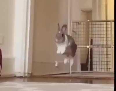 Chicago 😭🤯🤯