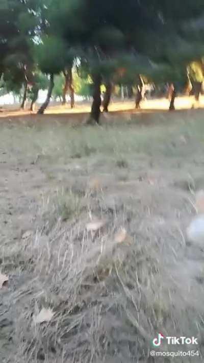 la mayor corrida de mi vida.