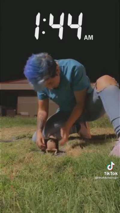 Vet rescues surprisingly large frog!