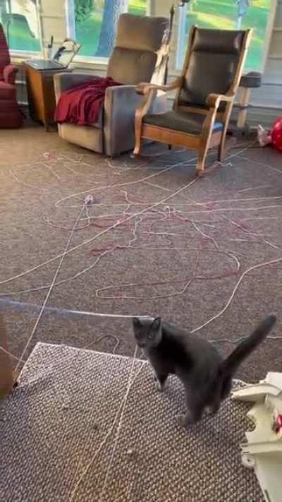 The art and the artist