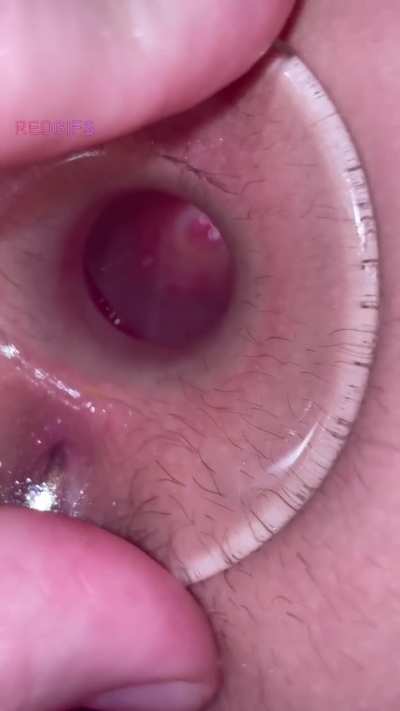 He said he loves it when I do this to him [m] [f] clear butt plug