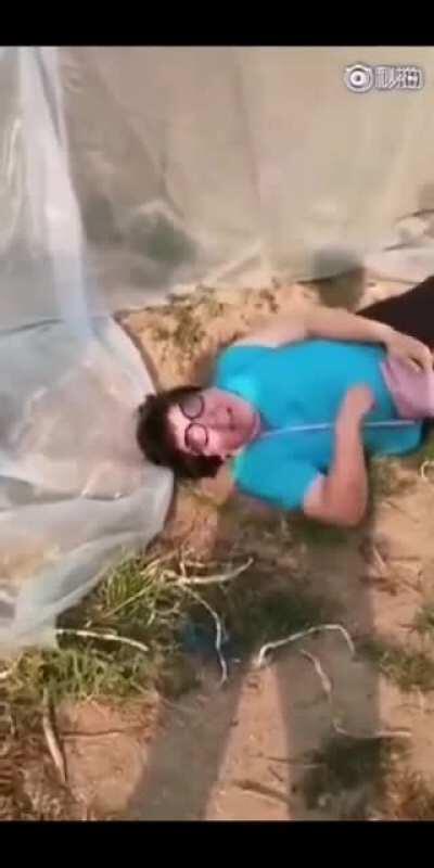 偷你啥鸡巴毛了？