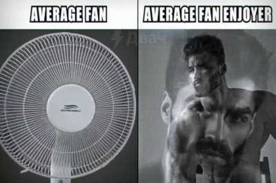 Fan