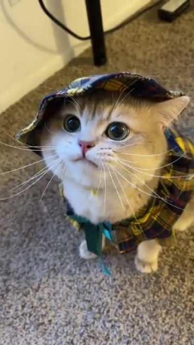 Someone told me this belongs here…