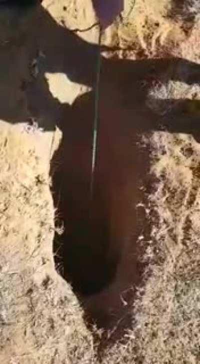 This gave me anxiety, but a unexpected ending