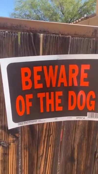 beware of the dog