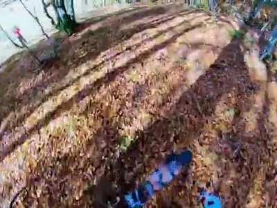 this guy skied on the leaves of a forest