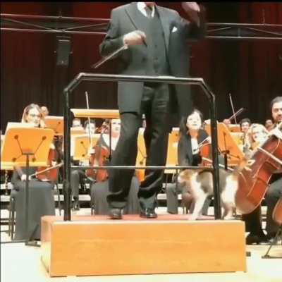 And now she is the centre of attraction