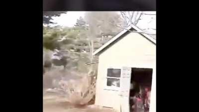 Jumping on trampoline with skateboard